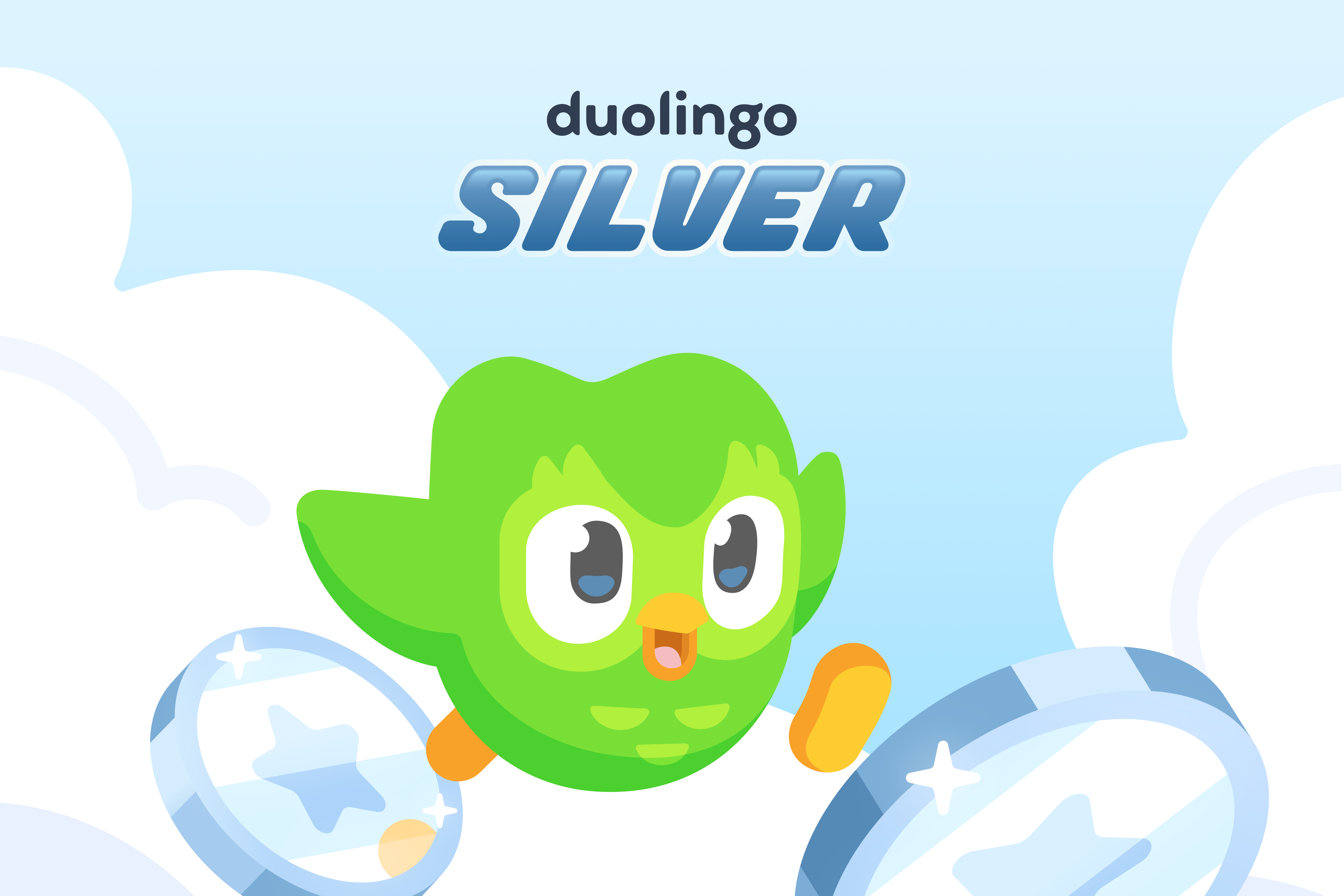 Duolingo Lettering