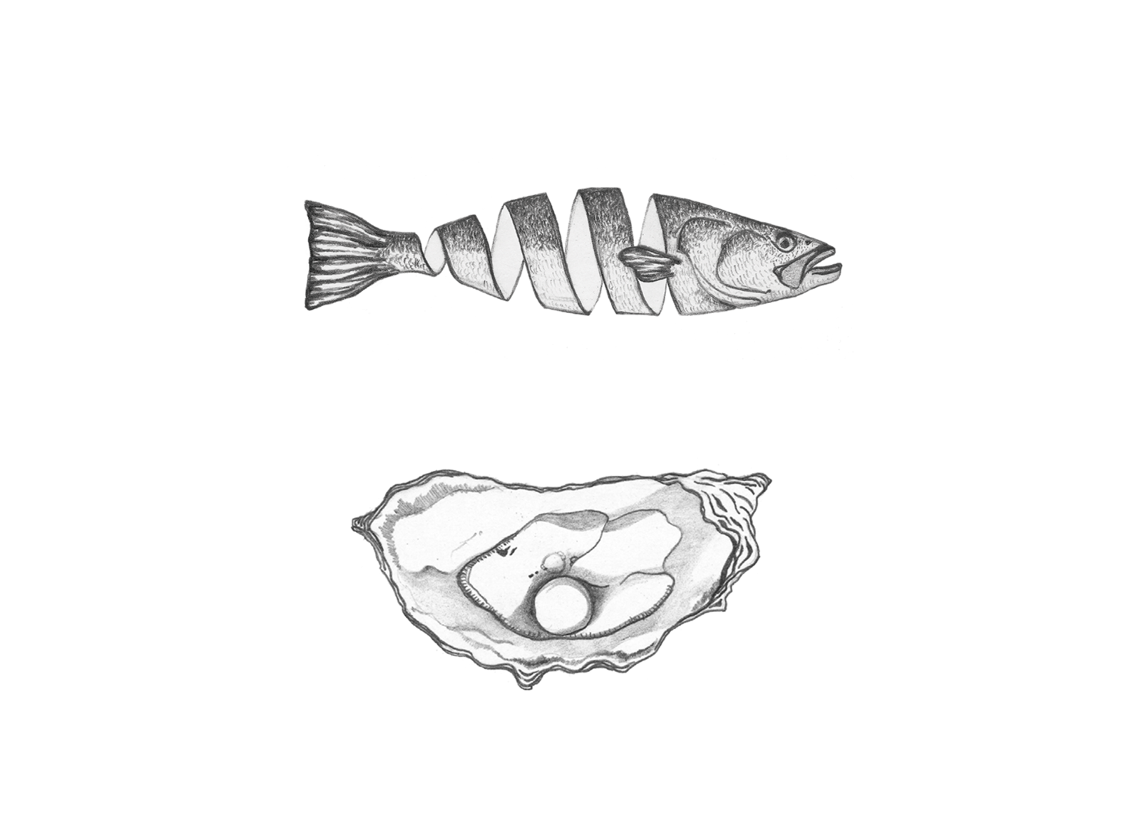Fins and Tails